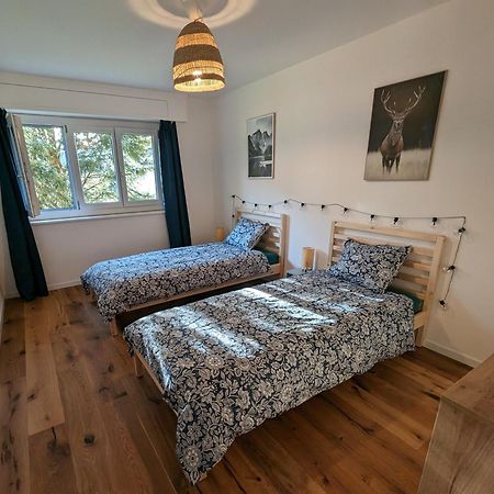 Appartement Spacieux Au Centre De La Gruyere Broc Eksteriør billede