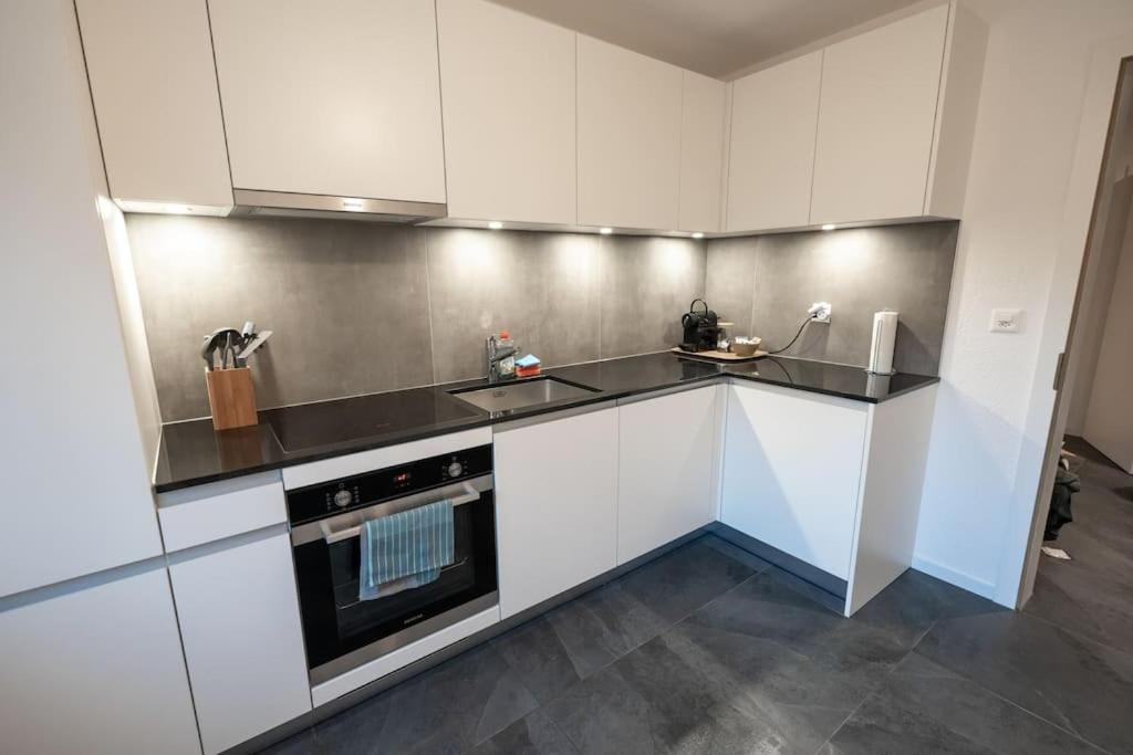 Appartement Spacieux Au Centre De La Gruyere Broc Eksteriør billede