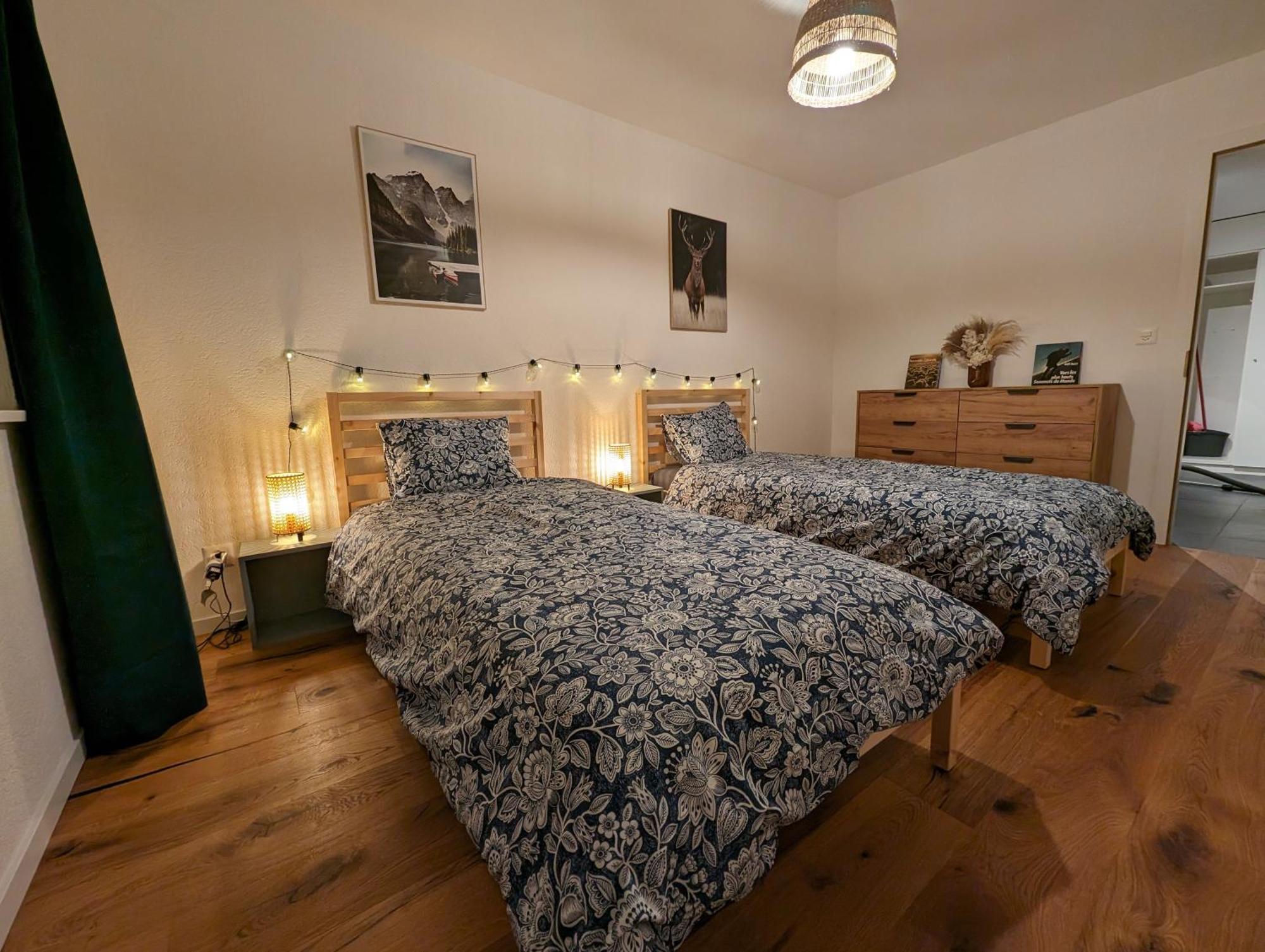 Appartement Spacieux Au Centre De La Gruyere Broc Eksteriør billede
